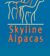 Skyline Alpacas